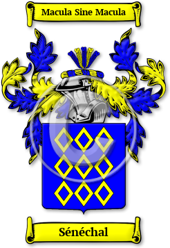 Sénéchal Family Crest Download (jpg) Legacy Series - 150 DPI