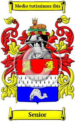 Senior Family Crest/Coat of Arms
