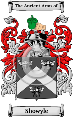 Showyle Family Crest/Coat of Arms