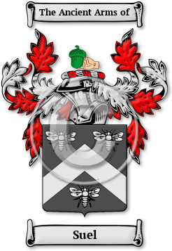 Suel Family Crest Download (JPG) Legacy Series - 600 DPI