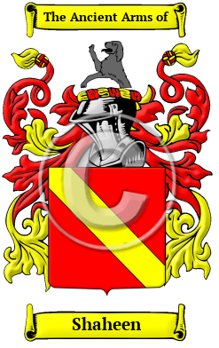 Shaheen Family Crest/Coat of Arms