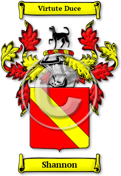 Shannon Family Crest Download (jpg) Legacy Series - 150 DPI