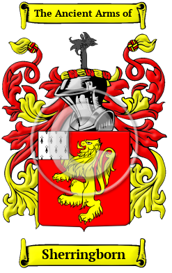 Sherringborn Family Crest/Coat of Arms
