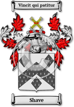 Shave Family Crest Download (jpg) Legacy Series - 150 DPI