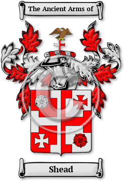 Shead Family Crest Download (JPG) Legacy Series - 600 DPI