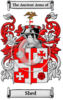 Shed Family Crest/Coat of Arms