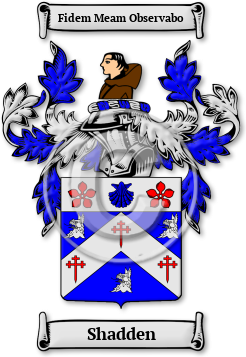 Shadden Family Crest Download (jpg) Legacy Series - 150 DPI