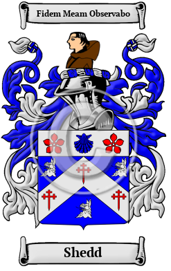 Shedd Family Crest/Coat of Arms