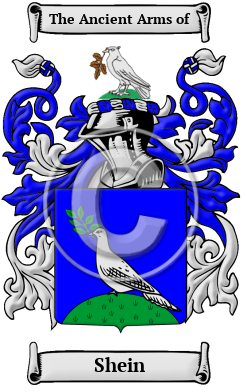 Shein Family Crest/Coat of Arms