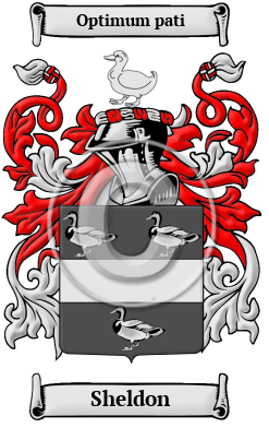 Sheldon Name Meaning, Family History, Family Crest & Coats of Arms