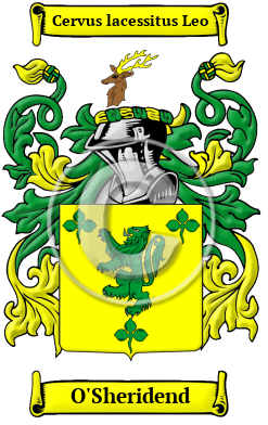 O'Sheridend Family Crest/Coat of Arms