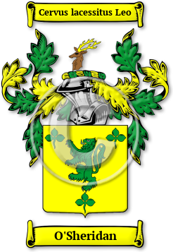 O'Sheridan Family Crest Download (JPG) Legacy Series - 600 DPI