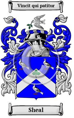 Sheal Family Crest/Coat of Arms