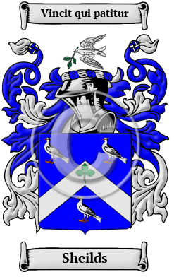 Sheilds Family Crest/Coat of Arms