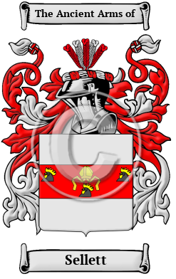 Sellett Family Crest/Coat of Arms