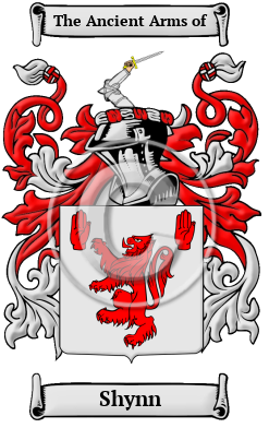 Shynn Family Crest/Coat of Arms