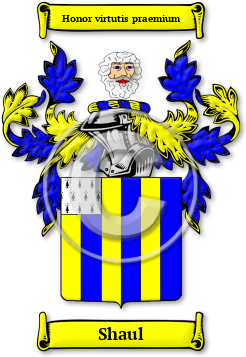 Shaul Family Crest Download (jpg) Legacy Series - 150 DPI