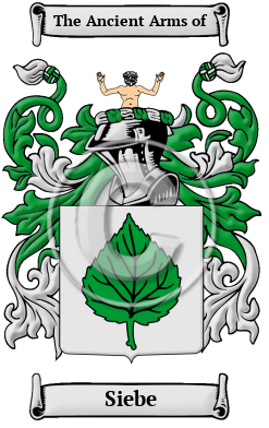 Siebe Family Crest/Coat of Arms