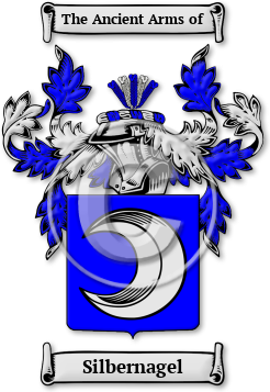 Silbernagel Family Crest Download (jpg) Legacy Series - 150 DPI
