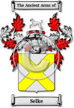 Selke Family Crest Download (jpg) Legacy Series - 150 DPI