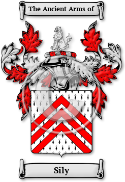 Sily Family Crest Download (jpg) Legacy Series - 150 DPI