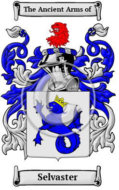 Selvaster Family Crest/Coat of Arms
