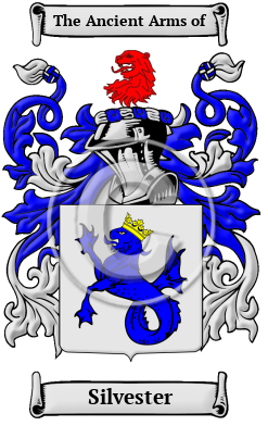 Silvester Family Crest/Coat of Arms
