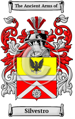 Silvestro Family Crest/Coat of Arms
