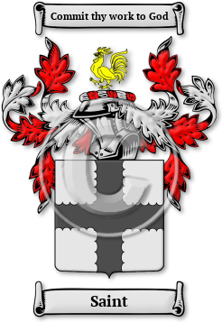 Saint Family Crest Download (jpg) Legacy Series - 150 DPI