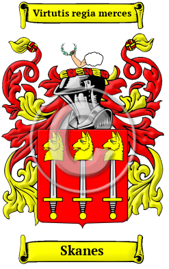 Skanes Family Crest/Coat of Arms