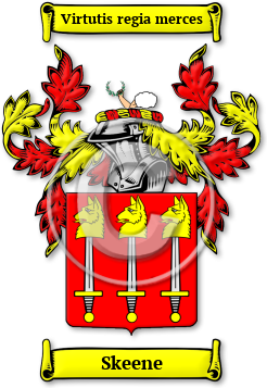 Skeene Family Crest Download (jpg) Legacy Series - 150 DPI