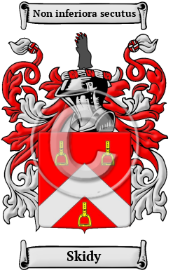 Skidy Family Crest Download (JPG) Heritage Series - 600 DPI