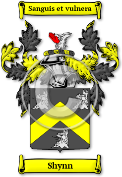 Shynn Family Crest Download (jpg) Legacy Series - 150 DPI