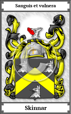Skinnar Family Crest Download (JPG)  Book Plated - 150 DPI
