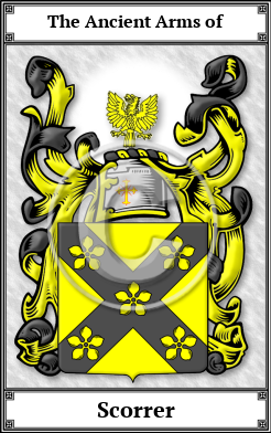 Scorrer Family Crest Download (JPG)  Book Plated - 150 DPI
