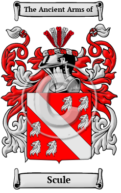 Scule Family Crest Download (JPG) Heritage Series - 600 DPI