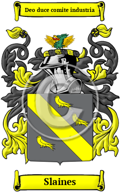 Slaines Family Crest/Coat of Arms