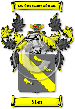 Slan Family Crest Download (JPG) Legacy Series - 600 DPI