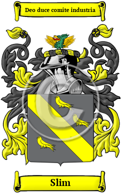 Slim Family Crest/Coat of Arms