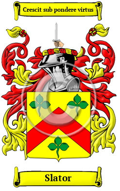 Slator Family Crest/Coat of Arms