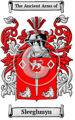 Sleeghmyn Family Crest/Coat of Arms