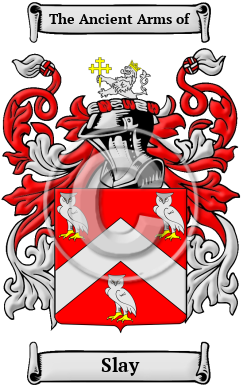 Slay Family Crest/Coat of Arms