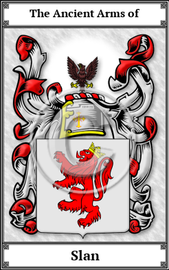 Slan Family Crest Download (JPG)  Book Plated - 150 DPI