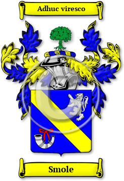 Smole Family Crest Download (jpg) Legacy Series - 150 DPI