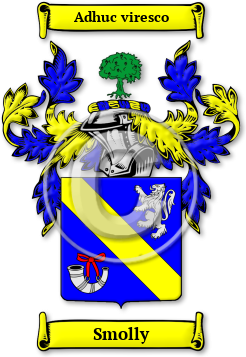 Smolly Family Crest Download (jpg) Legacy Series - 150 DPI
