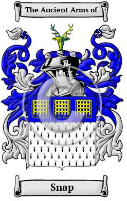 Snap Family Crest/Coat of Arms