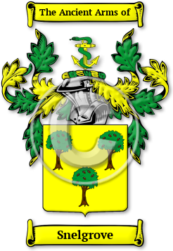 Snelgrove Family Crest Download (jpg) Legacy Series - 150 DPI
