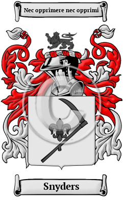 Snyders Family Crest/Coat of Arms