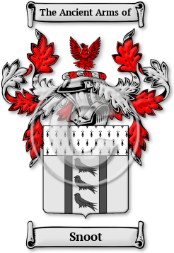 Snoot Family Crest Download (JPG) Legacy Series - 600 DPI
