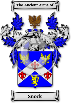 Snock Family Crest Download (JPG) Legacy Series - 600 DPI